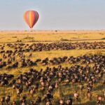 Can I Do a Hot Air Balloon Safari Over Maasai Mara?