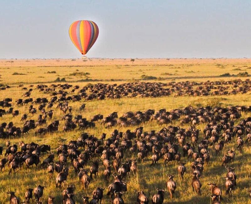 Can I Do a Hot Air Balloon Safari Over Maasai Mara?