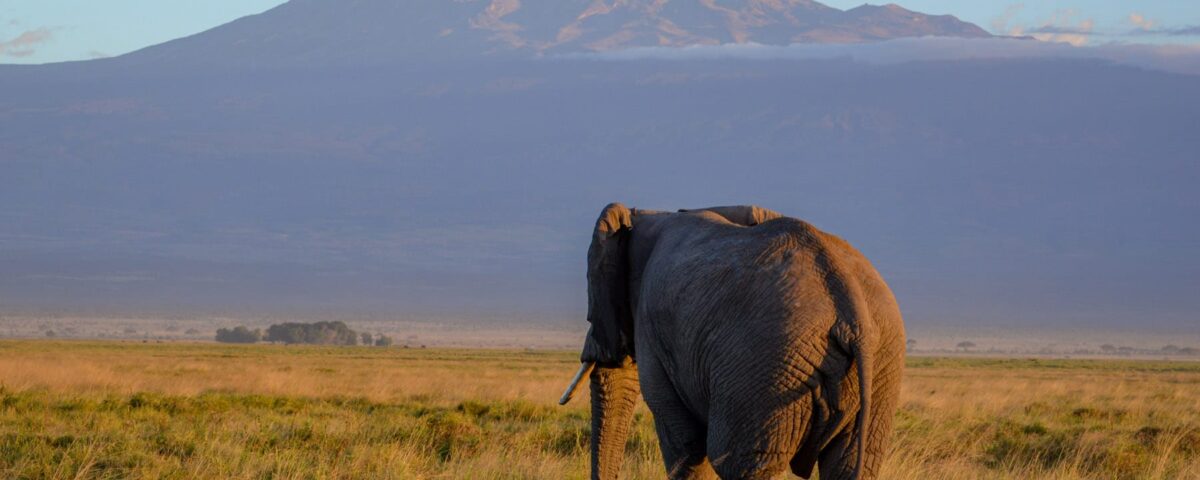 Can I See Mount Kilimanjaro from Amboseli?