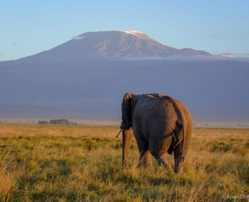 Can I See Mount Kilimanjaro from Amboseli?