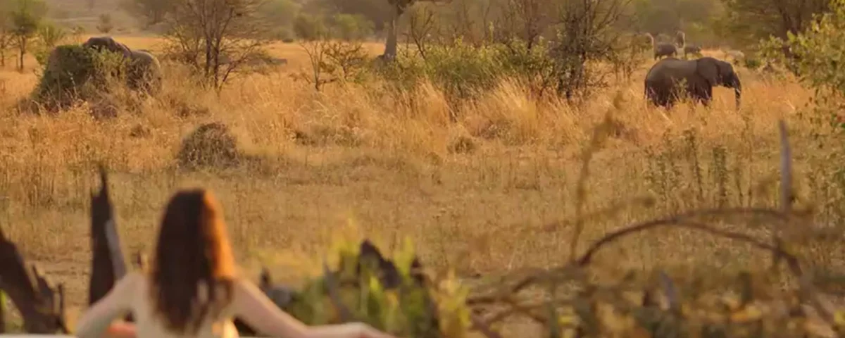 Can Kenya Safaris Be Tailored for Solo Travellers?