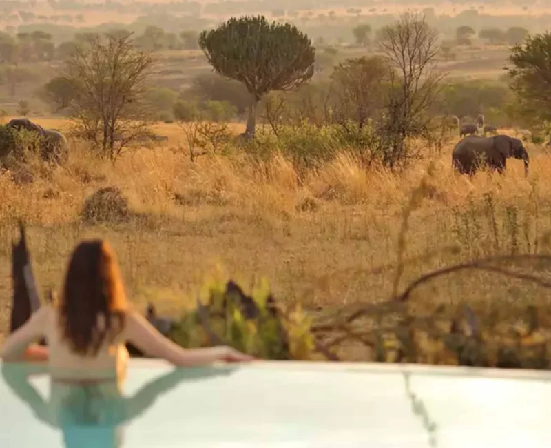 Can Kenya Safaris Be Tailored for Solo Travellers?