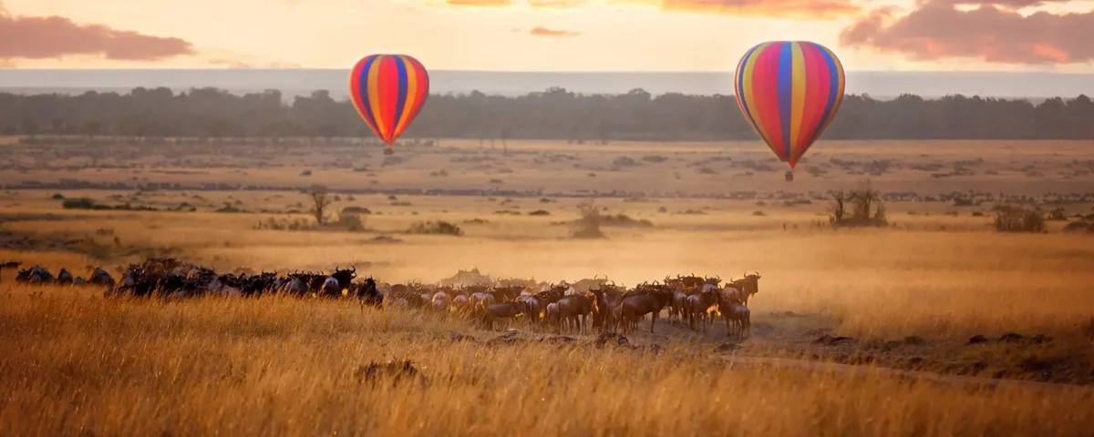 What Makes Kenya One of the Best Safari Destinations in the World?