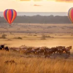 What Makes Kenya One of the Best Safari Destinations in the World?