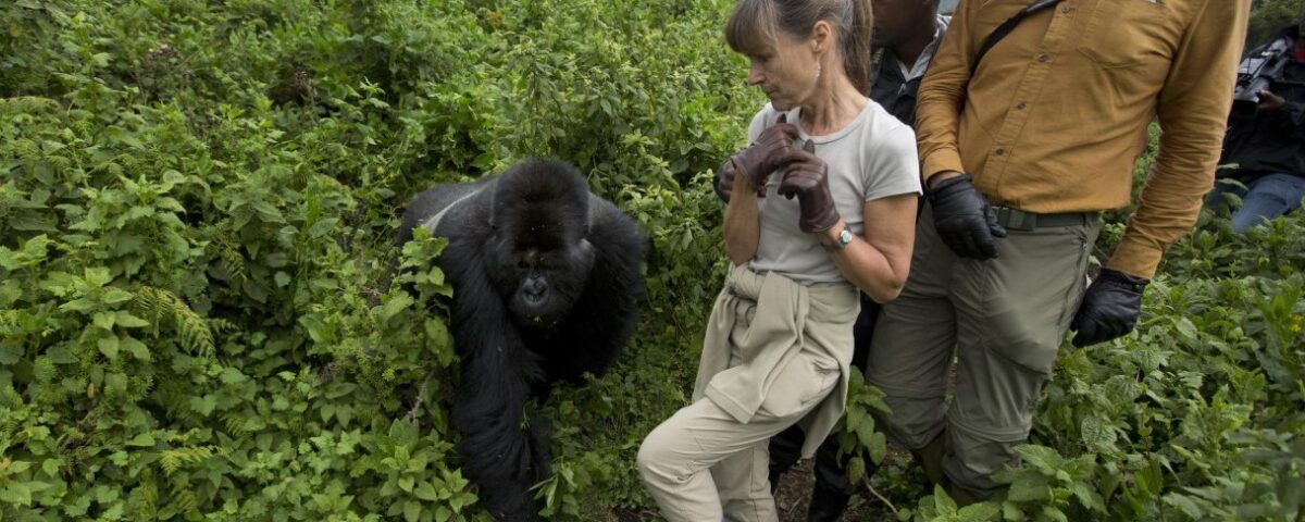 What Should I Pack for a Gorilla Trekking Safari in Rwanda?