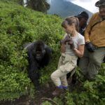 What Should I Pack for a Gorilla Trekking Safari in Rwanda?