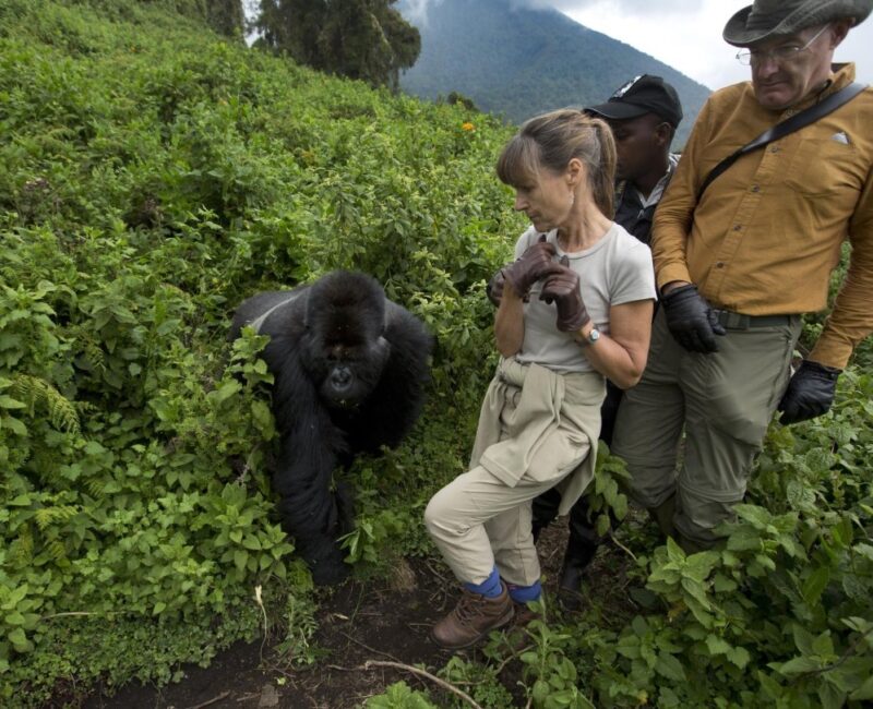 What Should I Pack for a Gorilla Trekking Safari in Rwanda?