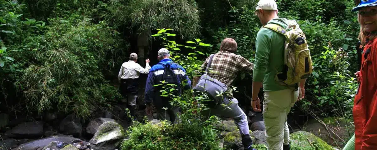 What Should I Wear During a Gorilla Trekking Safari in Uganda?