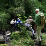 What Should I Wear During a Gorilla Trekking Safari in Uganda?