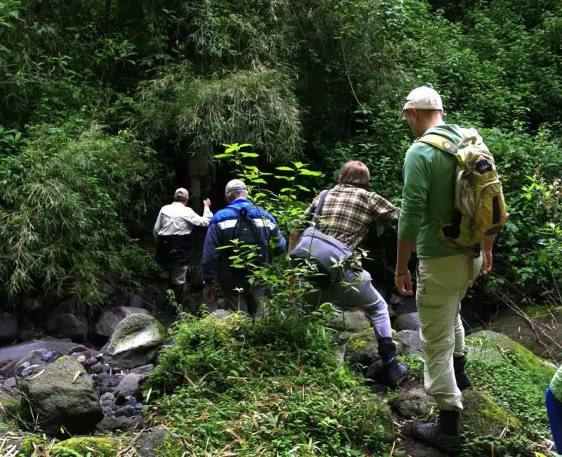 What Should I Wear During a Gorilla Trekking Safari in Uganda?