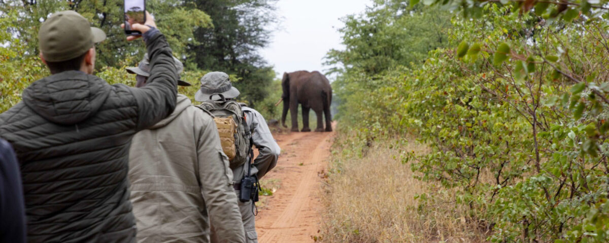 What Time of Day Are Walking Safaris Usually Done?
