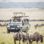 What Type of Vehicle Is Best for a Great Migration Safari?