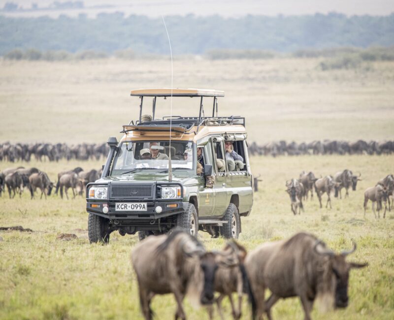 What Type of Vehicle Is Best for a Great Migration Safari?
