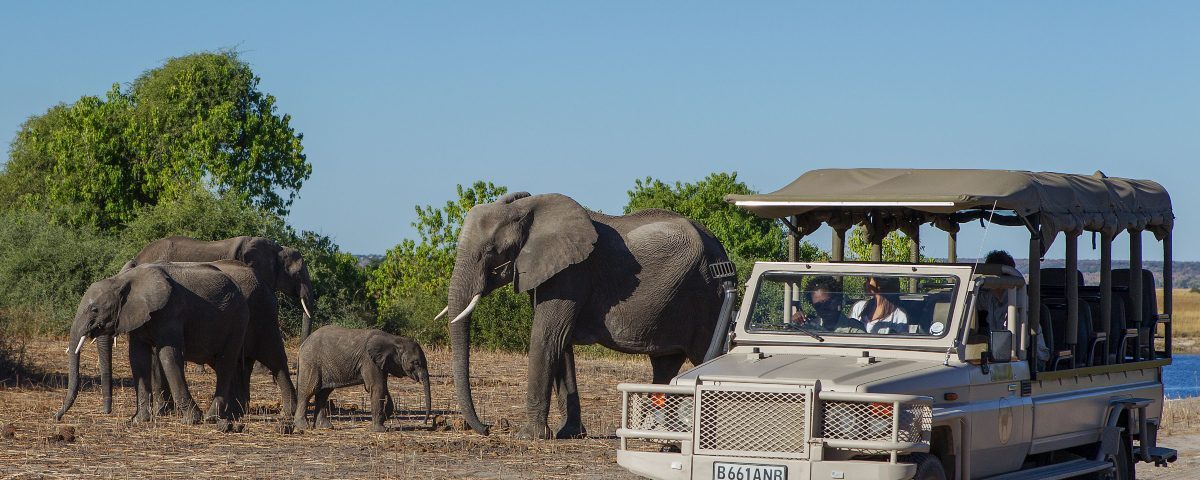 What Type of Vehicles Are Used for Game Drives?