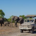 What Type of Vehicles Are Used for Game Drives?