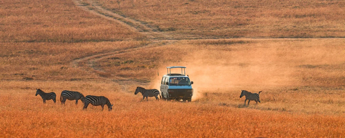What Types of Safari Experiences Are Offered in Kenya