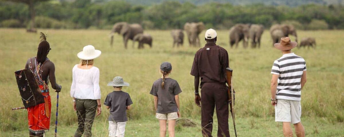 What Wildlife Can Be Seen on Walking Safaris?