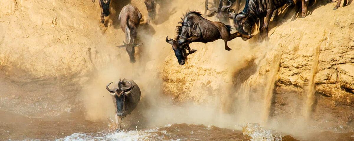 What is the Best Month to Witness the Mara River Crossing?