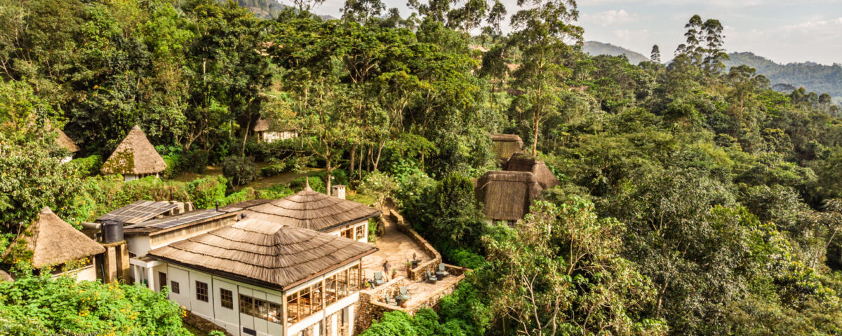 Which Lodges Are Closest to Bwindi Impenetrable Forest for Gorilla Safaris?