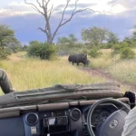 Are Game Drives Available Year-Round?