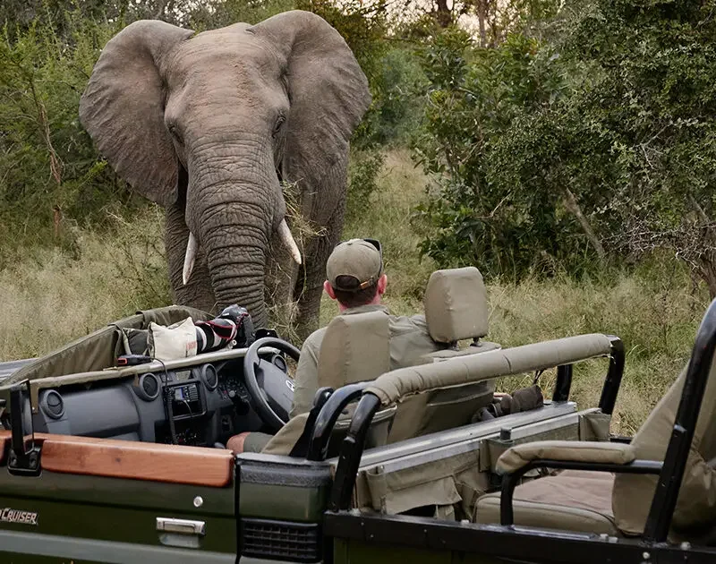 Rwanda Guided Game Drives