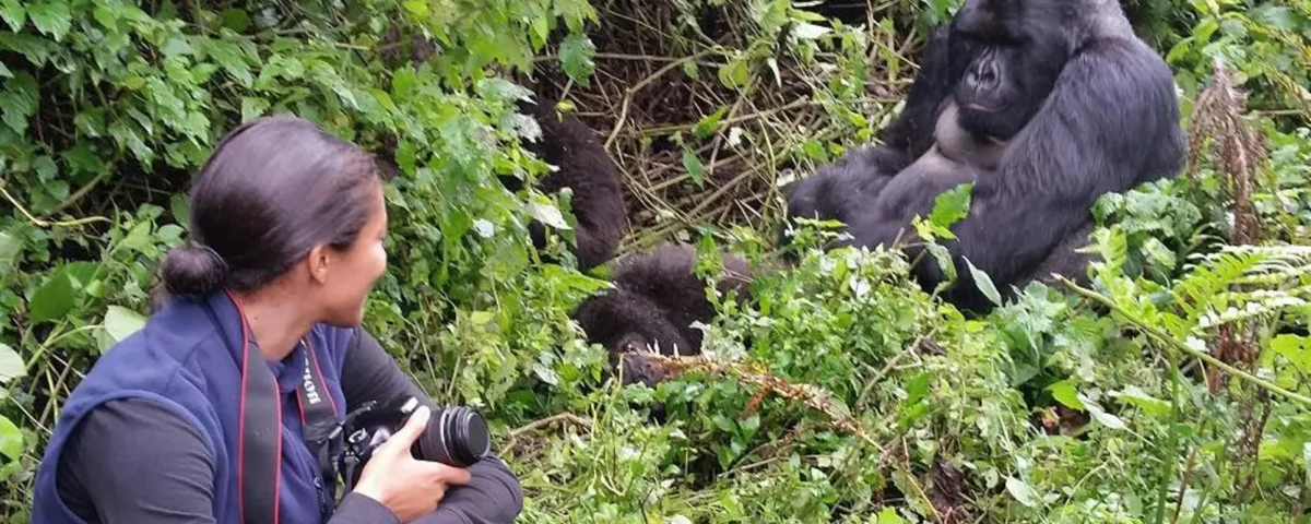 Can I Take Photos During Gorilla Habituation?