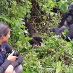 Can I Take Photos During Gorilla Habituation?