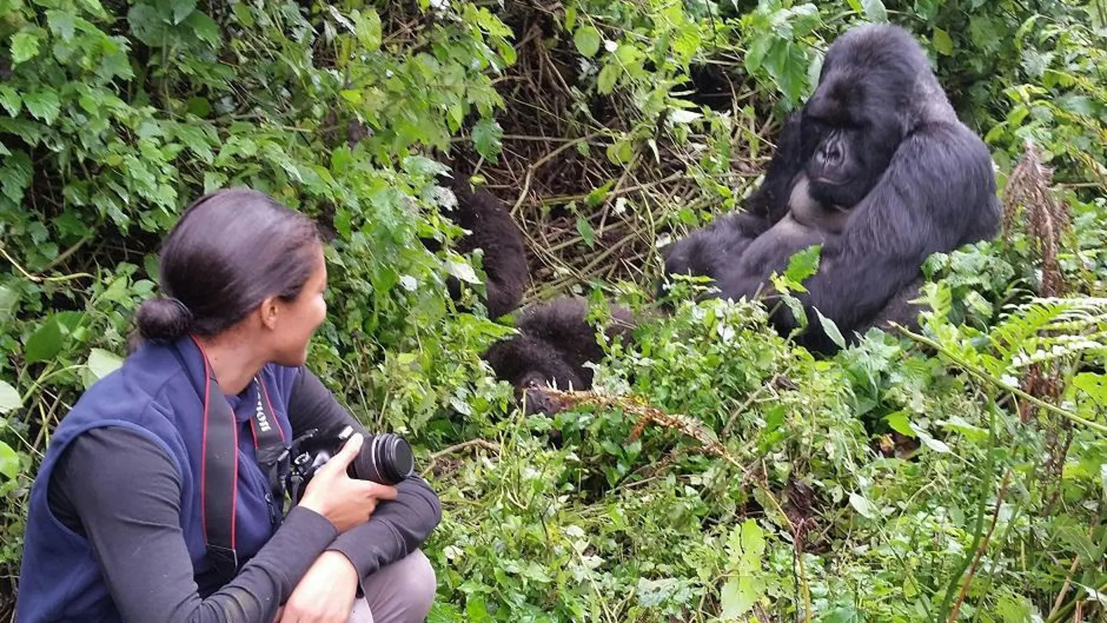 Can I Take Photos During Gorilla Habituation?