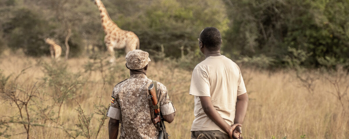 What Are Some Responsible Safari Practices?