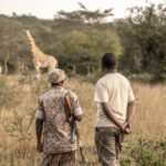 What Are Some Responsible Safari Practices?