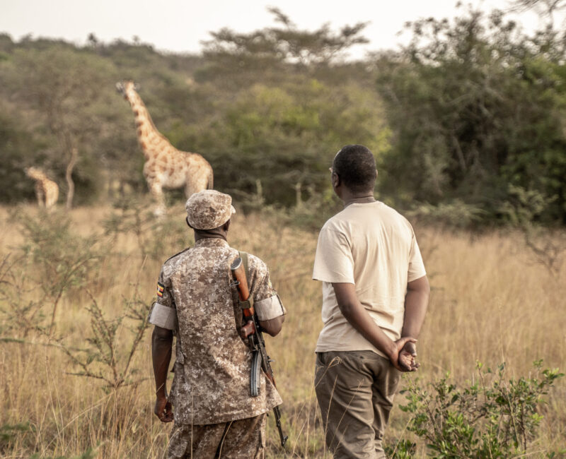 What Are Some Responsible Safari Practices?