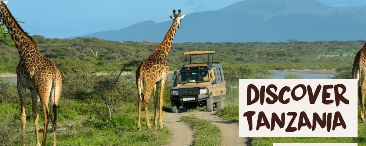 What Is the Best Time to Visit East Africa for a Tanzania or Kenya