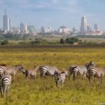 Why is Nairobi Called the “Safari Capital of the World”?