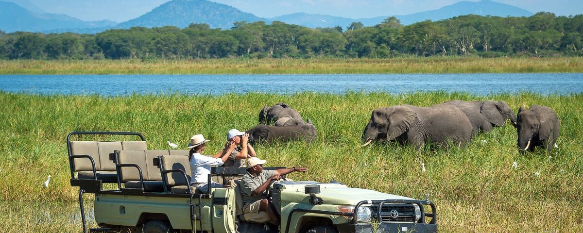 Are Game Drives Eco-Friendly?