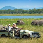 Are Game Drives Eco-Friendly?