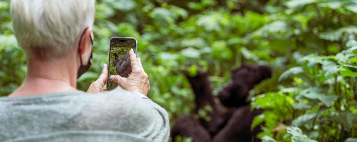 Is Gorilla Habituation Physically Demanding?