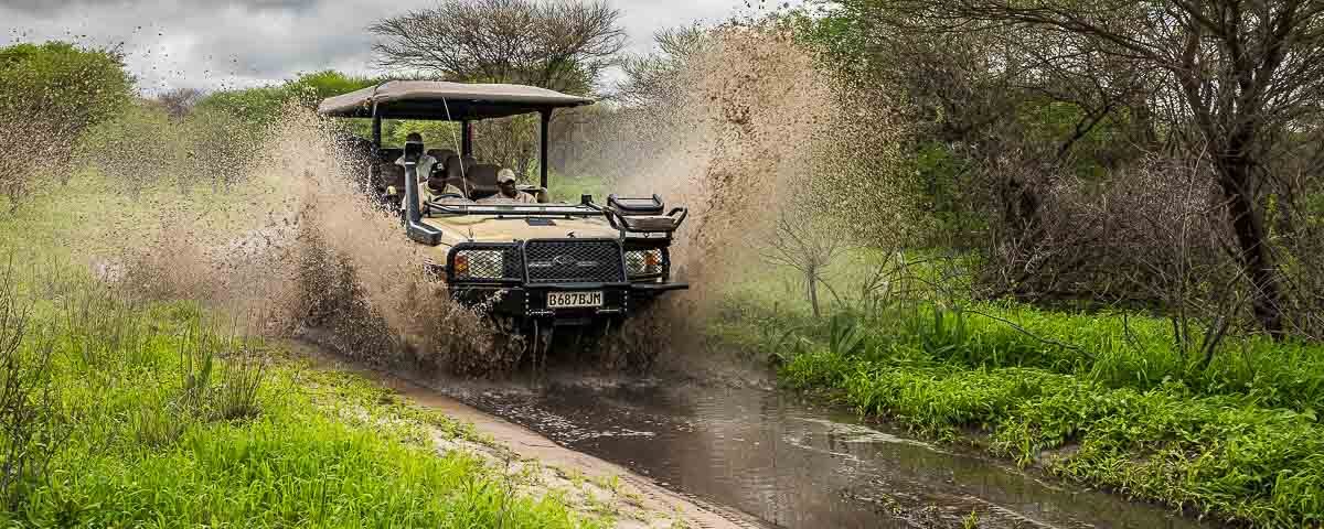 What Happens If It Rains During a Game Drive