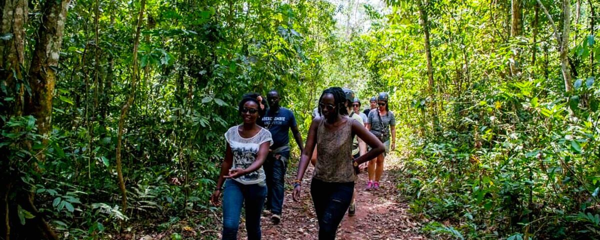 Mabira Forest