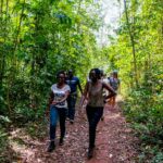Mabira Forest