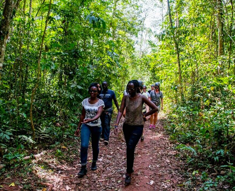 Mabira Forest