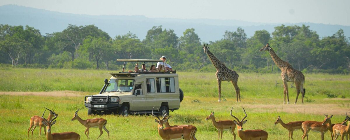 Mikumi National Park