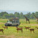 Mikumi National Park